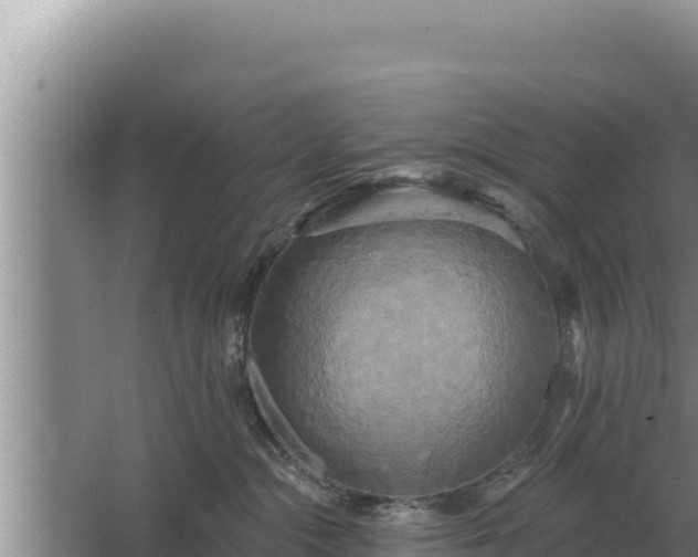 X0000067390284200604071801