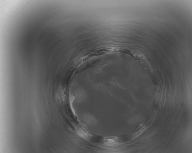 X0000067390285200604071801