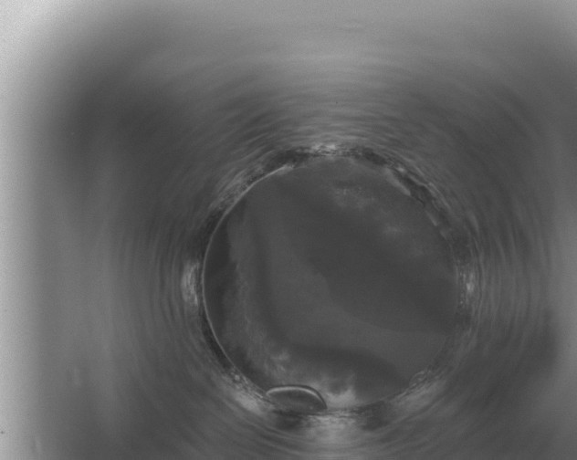 X0000067390286200604071801