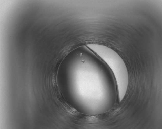 X0000067390287200604071801