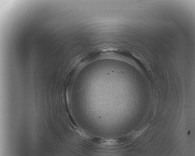 X0000067390288200604071801