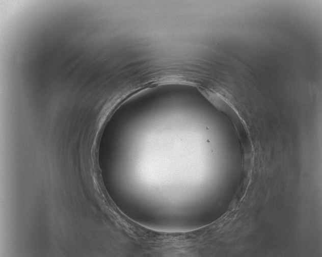 X0000067390289200604071801