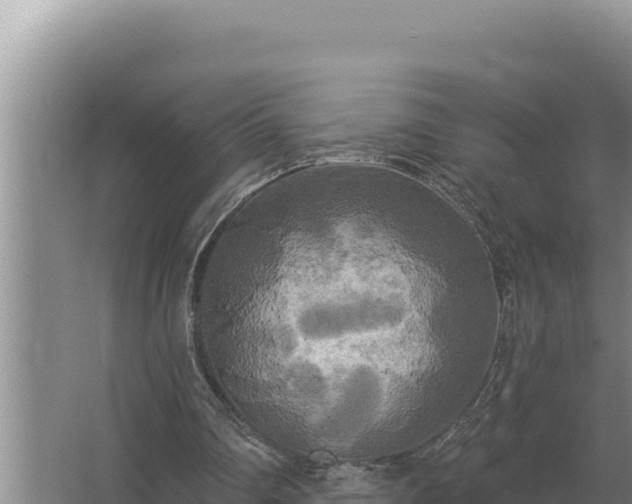 X0000067390290200604071801