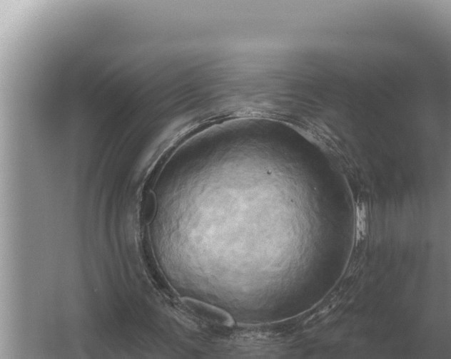 X0000067390291200604071801