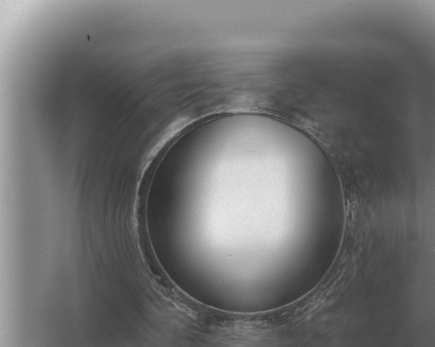 X0000067390292200604071801