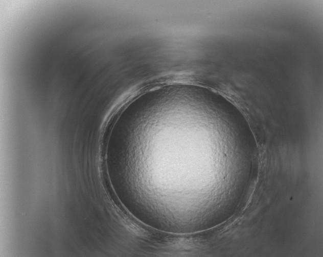 X0000067390293200604071801