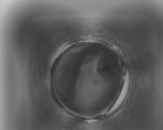 X0000067390295200604071800