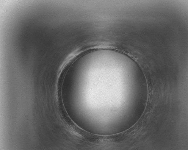 X0000067390296200604071800