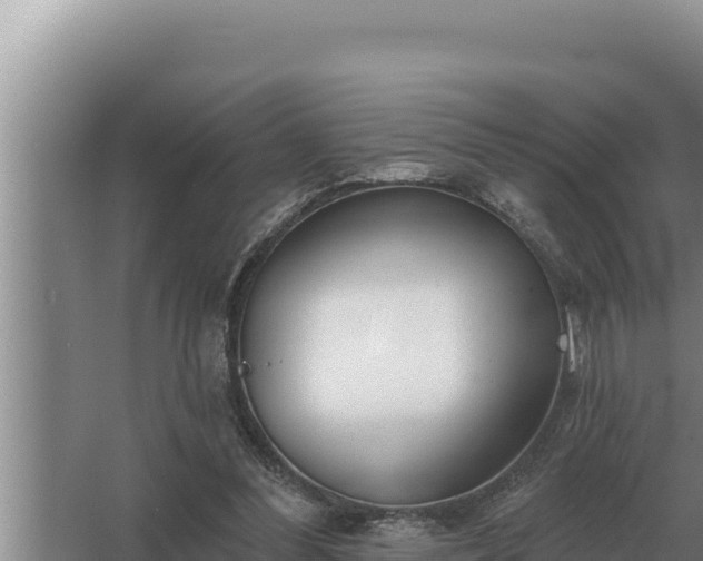 X0000067390300200604071800