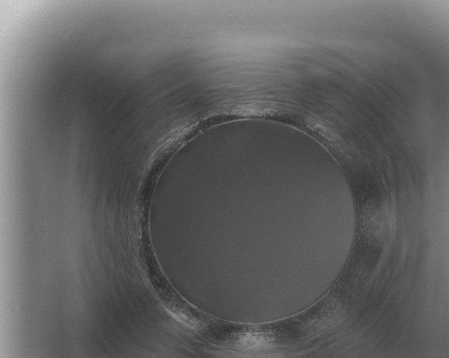 X0000067390303200604071800