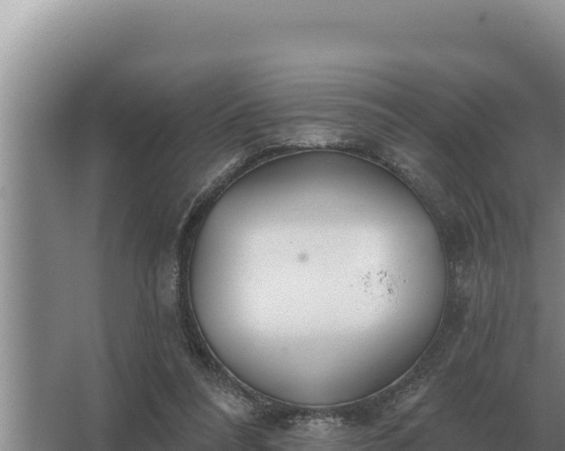 X0000067390304200604071800