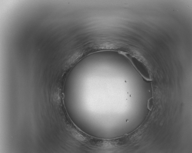 X0000067390305200604071800