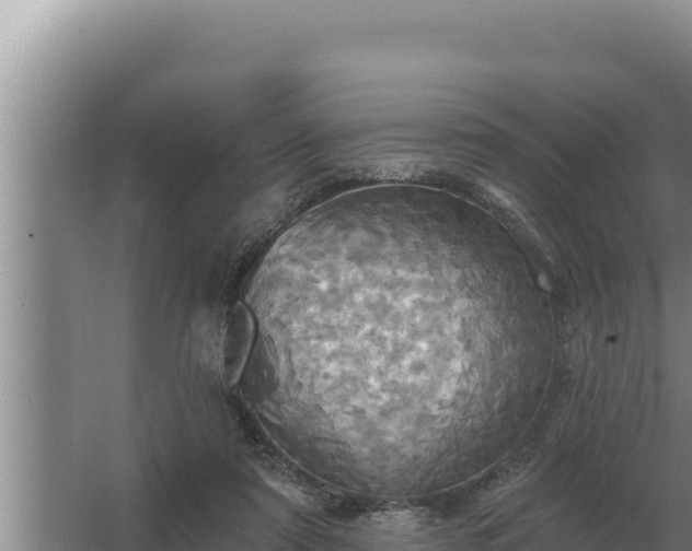 X0000067390307200604071800