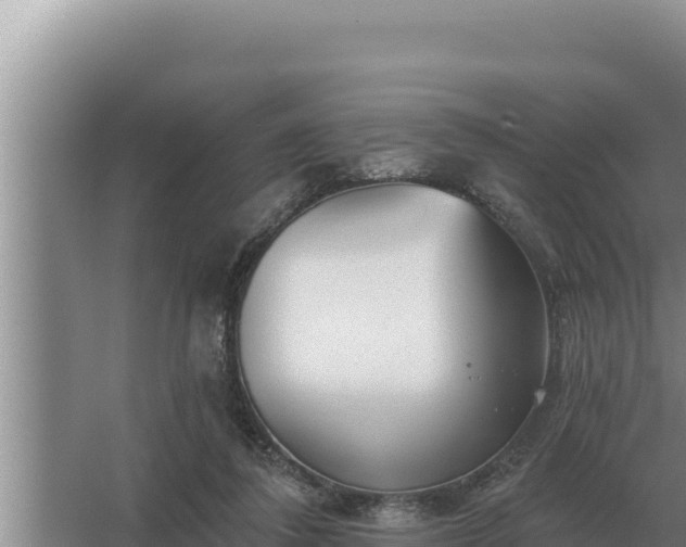 X0000067390308200604071800