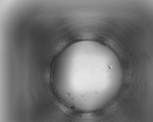 X0000067390309200604071800