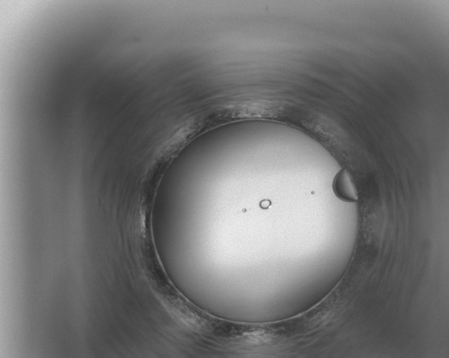 X0000067390310200604071800