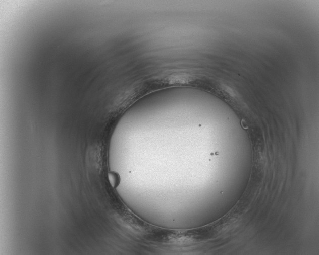 X0000067390311200604071800