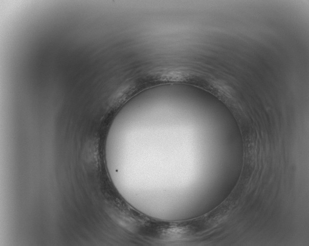 X0000067390312200604071800