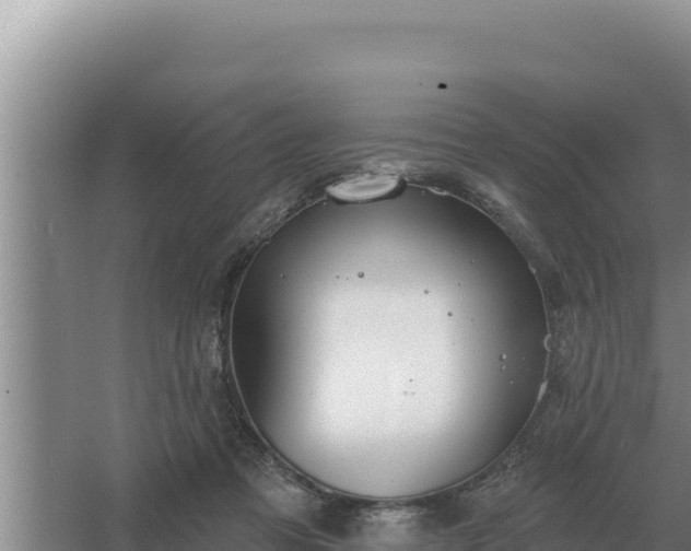 X0000067390313200604071800