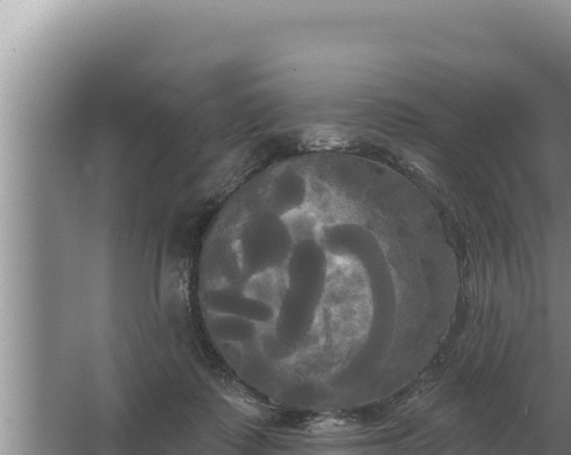 X0000067390315200604071800