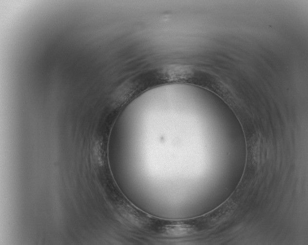 X0000067390316200604071800