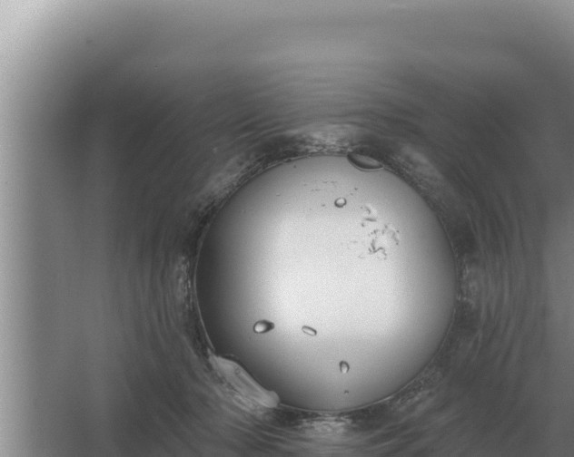 X0000067390318200604071800