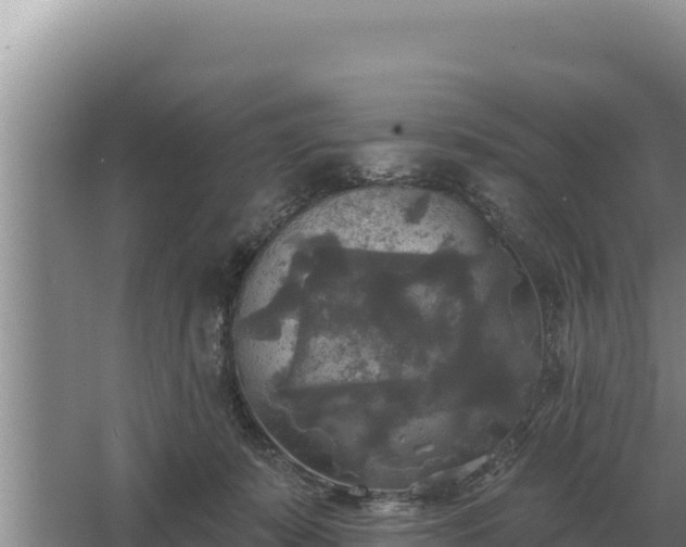 X0000067390319200604071800