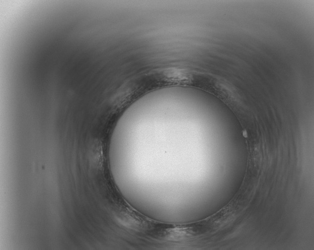 X0000067390320200604071800