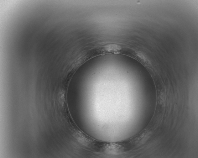 X0000067390321200604071800