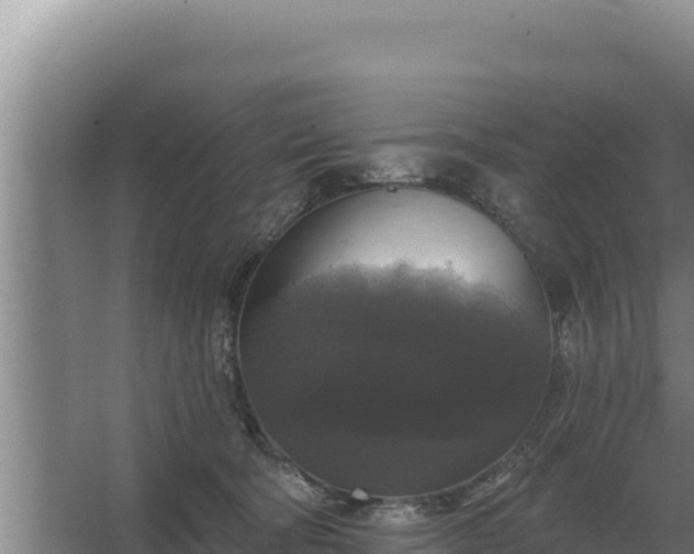 X0000067390322200604071800