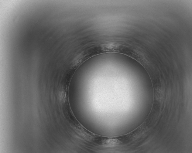 X0000067390324200604071800