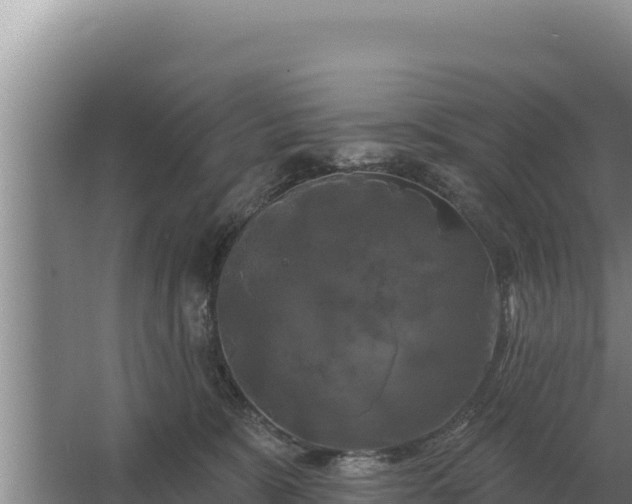 X0000067390327200604071800