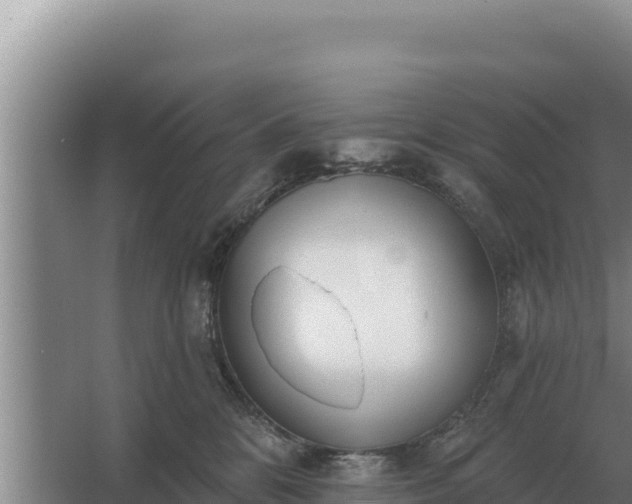 X0000067390328200604071800