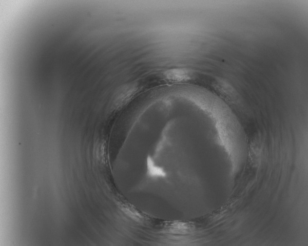 X0000067390330200604071800