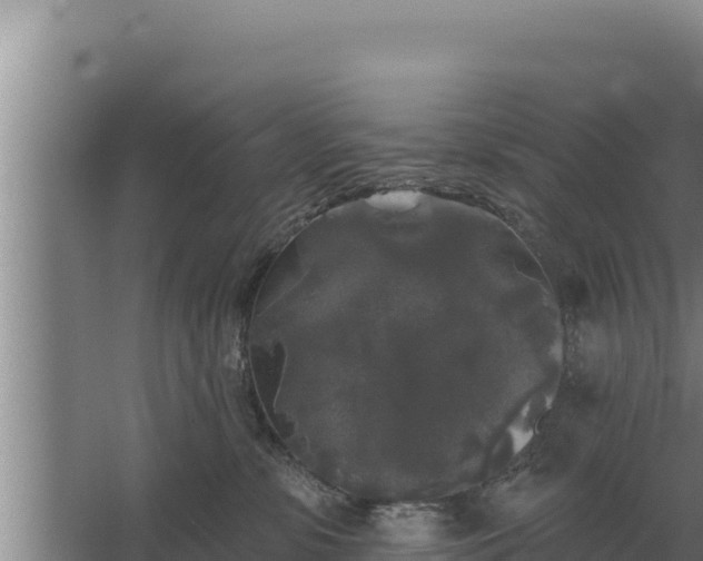 X0000067390331200604071800