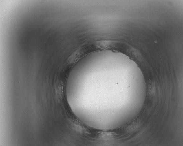 X0000067390332200604071800