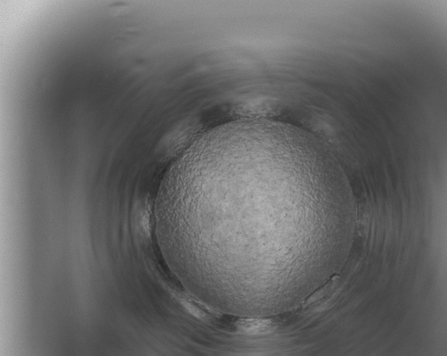 X0000067390334200604071800