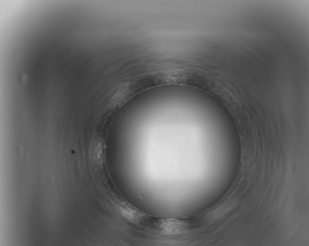 X0000067390336200604071800