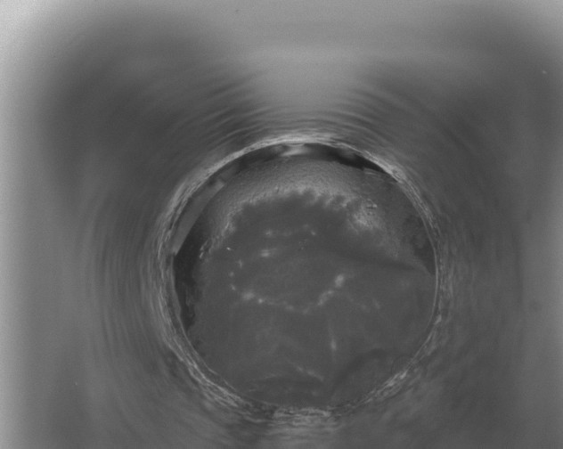 X0000067390337200604071759