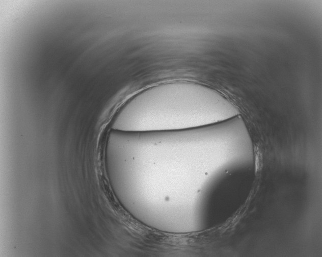 X0000067390339200604071759