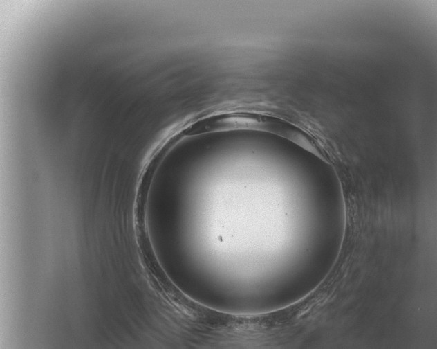 X0000067390340200604071759