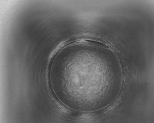 X0000067390341200604071759