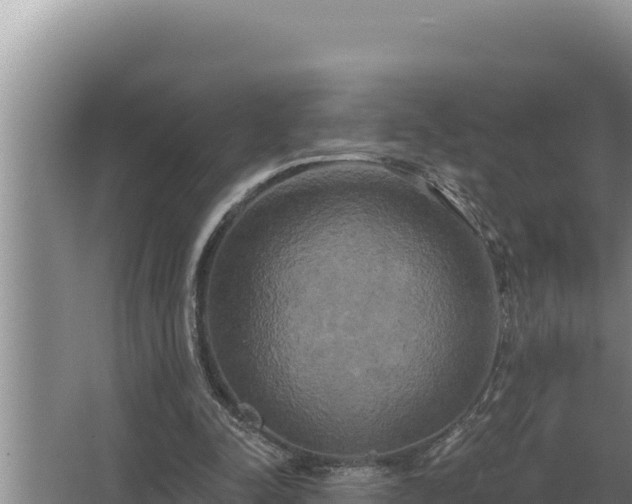 X0000067390342200604071759