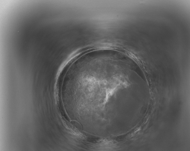 X0000067390343200604071759