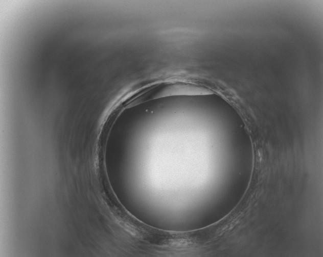 X0000067390344200604071759