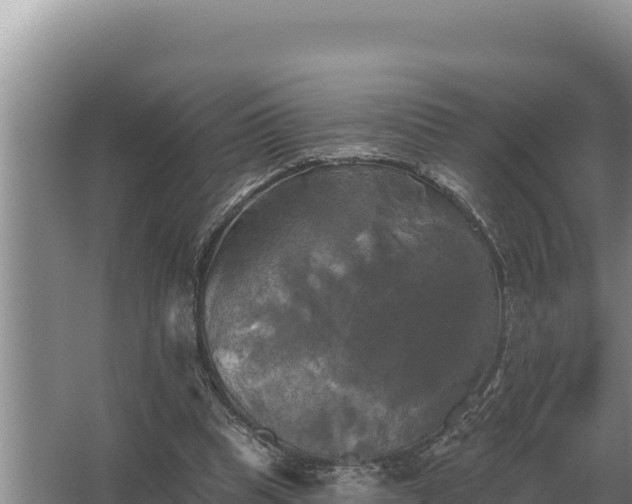 X0000067390345200604071759