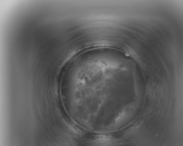 X0000067390347200604071759