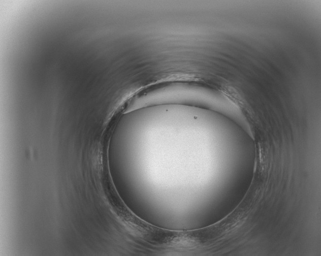 X0000067390348200604071759