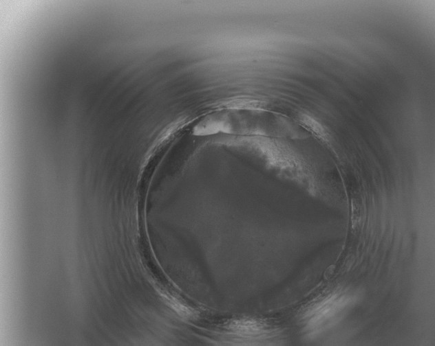 X0000067390349200604071759