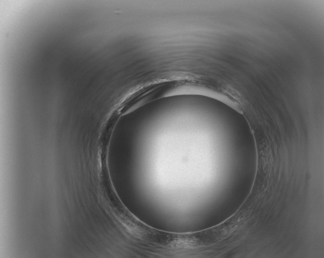 X0000067390350200604071759